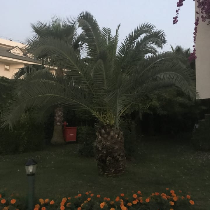Außenansicht Grand Seker Hotel