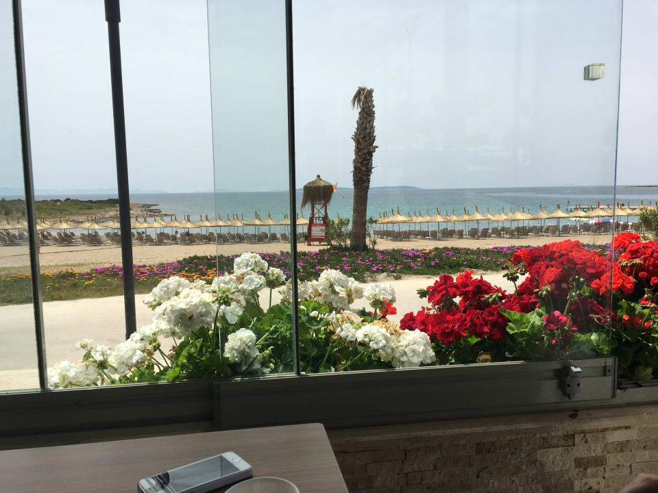 Strand Aquasis De Luxe Resort & Spa