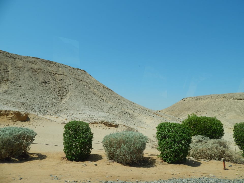 Strand Pickalbatros Citadel Resort