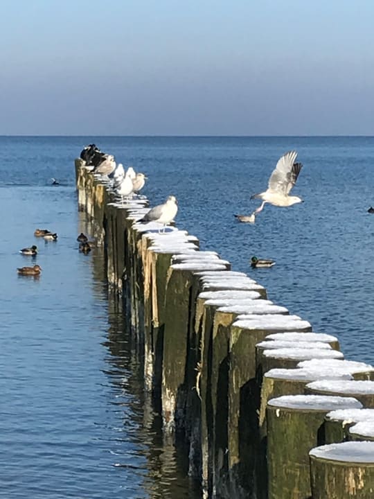 Strand Villa del Mar
