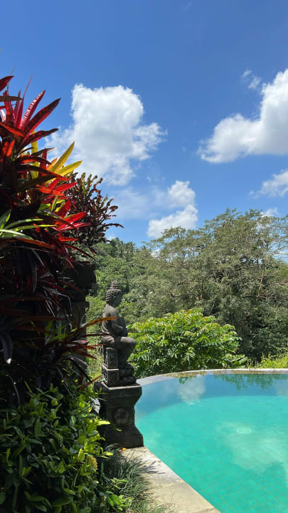 Pool The Payogan Villa Resort & Spa