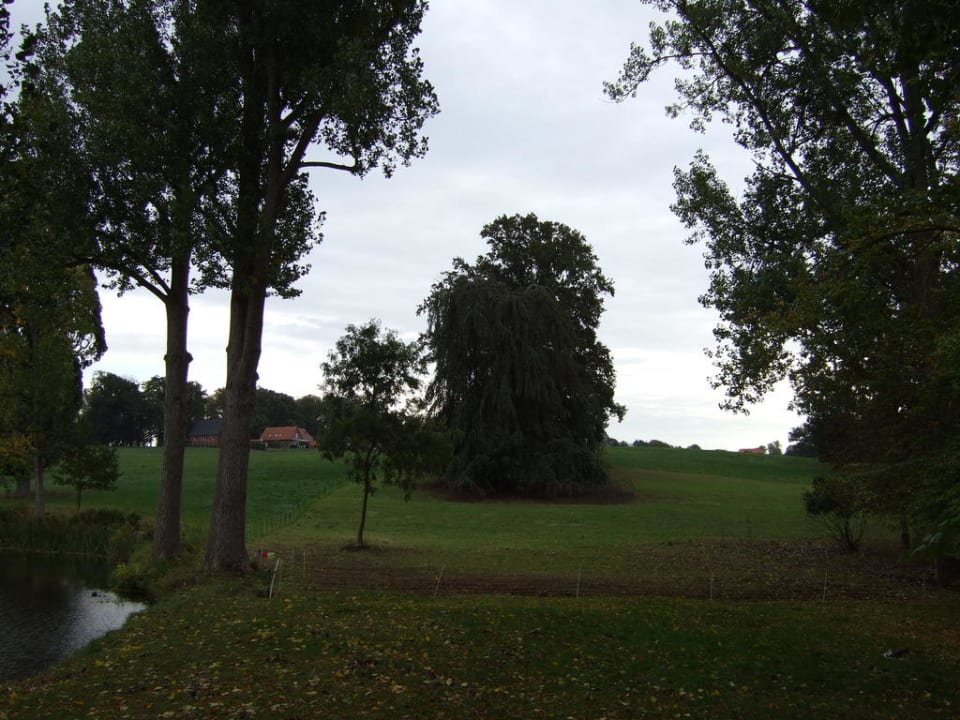 Links von Schloss (Felder) Hotel Schloß Wedendorf