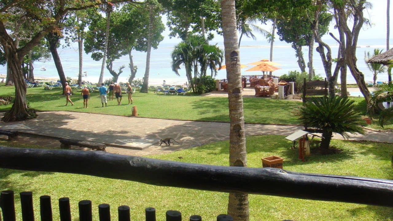 Вид из окна Baobab Beach Resort & Spa