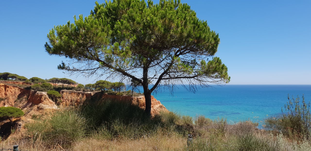 Außenansicht PortoBay Falésia