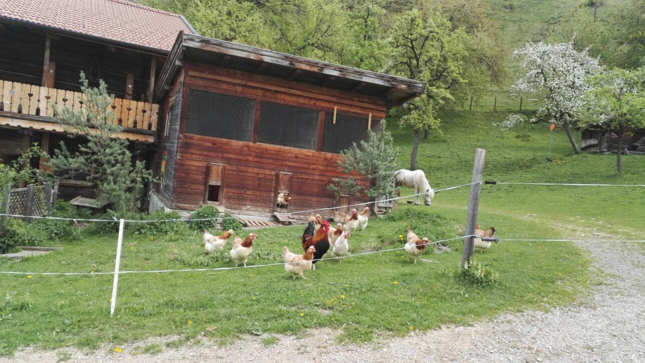 Garten Biobauernhof Walchengut