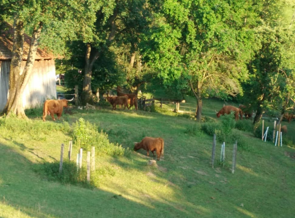 Außenansicht Hotel Dorferhof