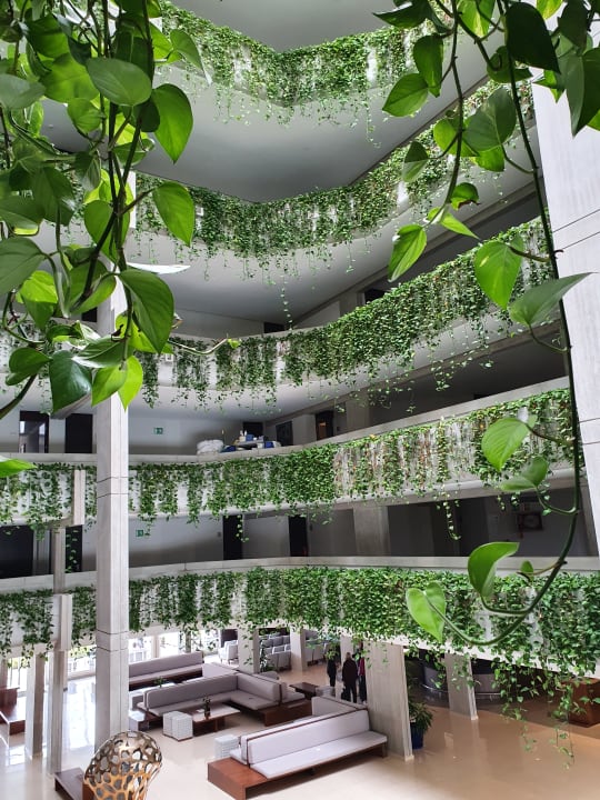 Lobby Hipotels Mediterraneo