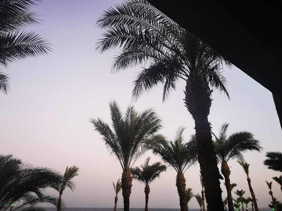 Außenansicht Pickalbatros Sands Hotel - Port Ghalib