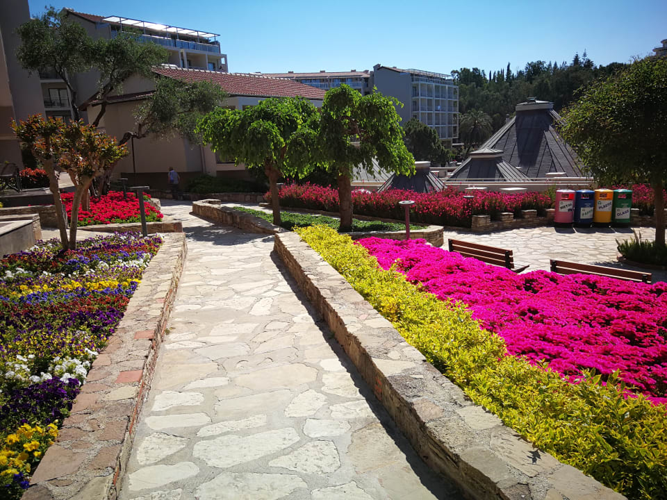 Gartenanlage Arum Barut Collection