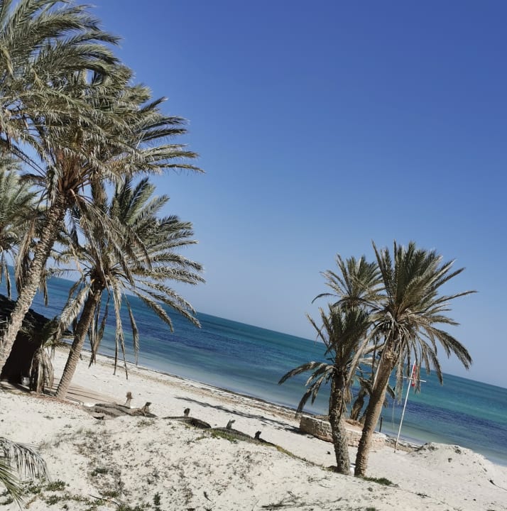 Außenansicht Hotel El Mouradi Djerba Menzel