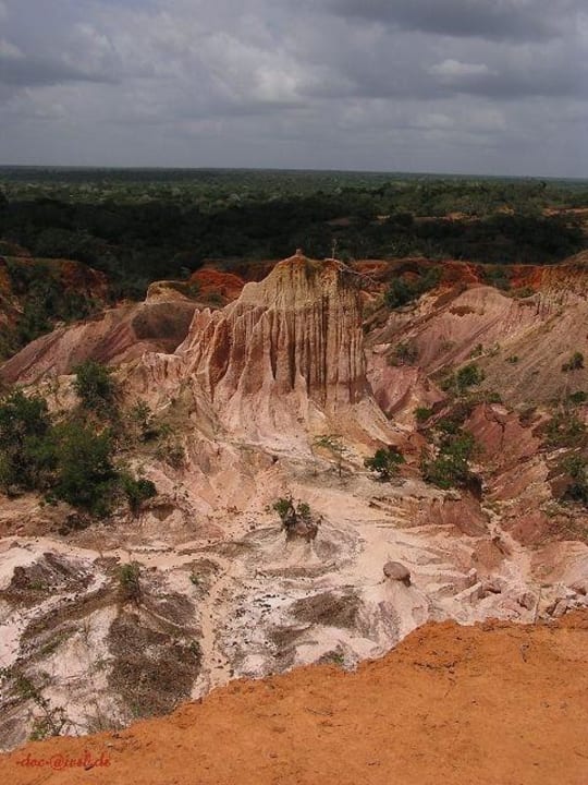 Hell's Kitchen 21 Hotel Traveller's Club