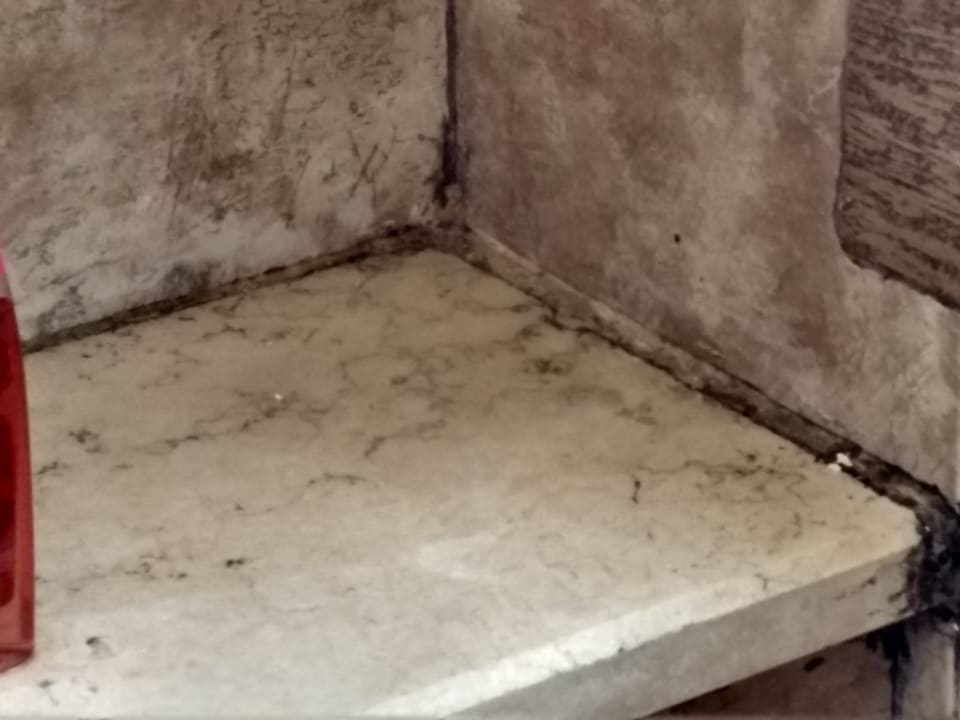 Zimmer Pickalbatros Citadel Resort