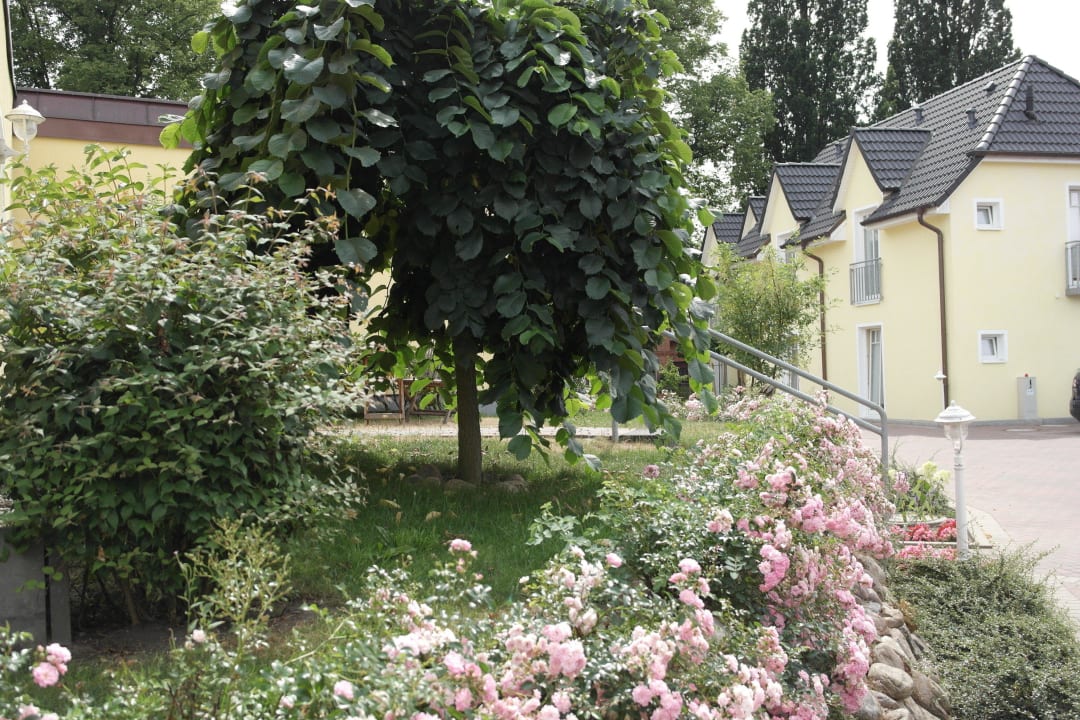 Garten Landhaus Hammoor