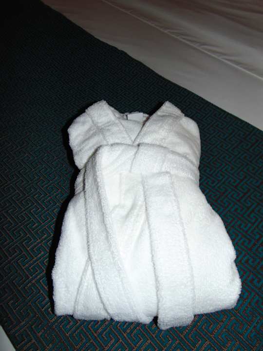 Zimmer Mercure Almaty City Center