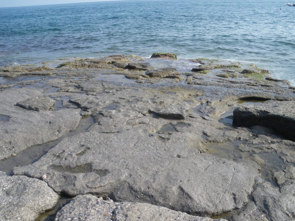 Platten Holiday Line Beach Hotel