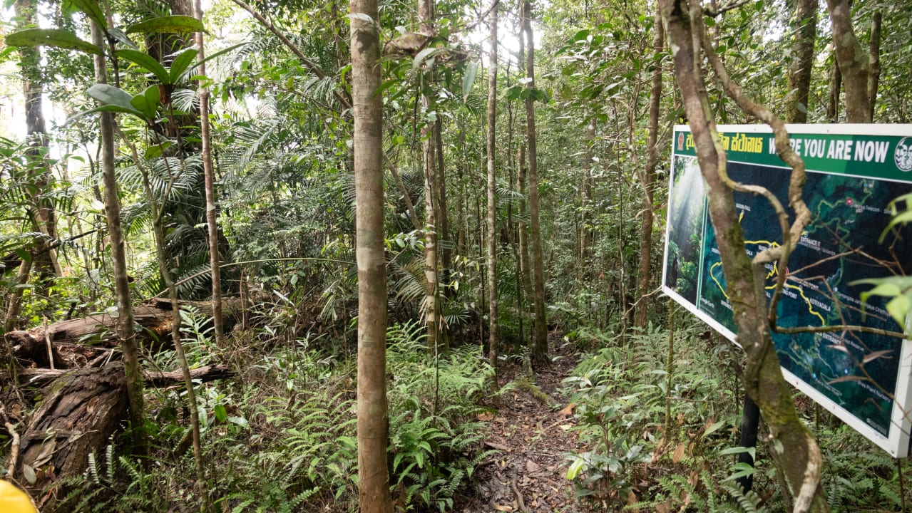 Sport & Freizeit The Rainforest Ecolodge