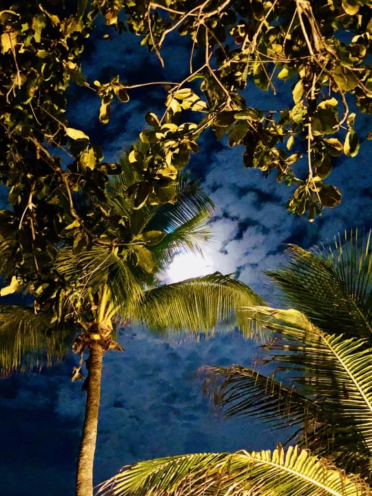 Garten Hotel Angsana Bintan