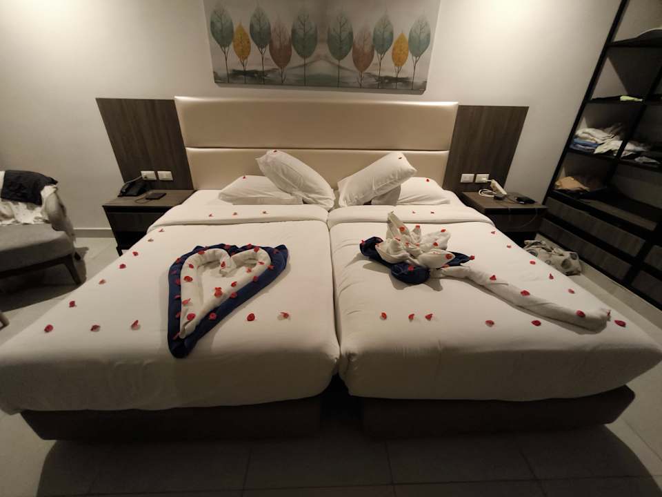 Zimmer Albatros Makadi Resort