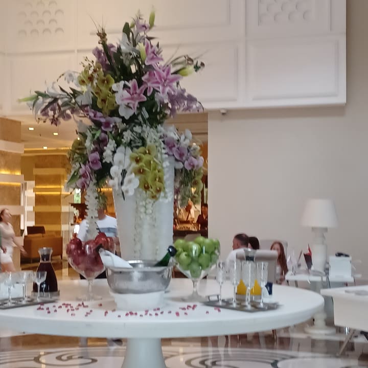 Gastro Papillon Ayscha