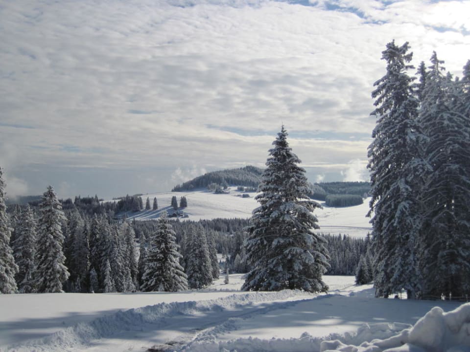 Blick vom Hotel aus ins Tal Almwellness Hotel Pierer