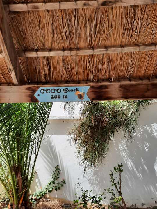 Gartenanlage Hotel Royal Nozha