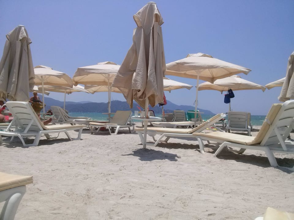 Liegen und Schirme des Hotels Jiva Beach Resort
