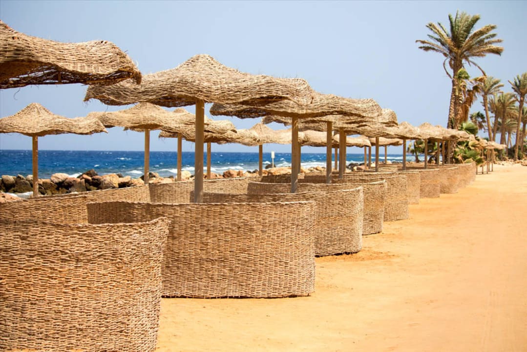 Strand  Pickalbatros Citadel Resort