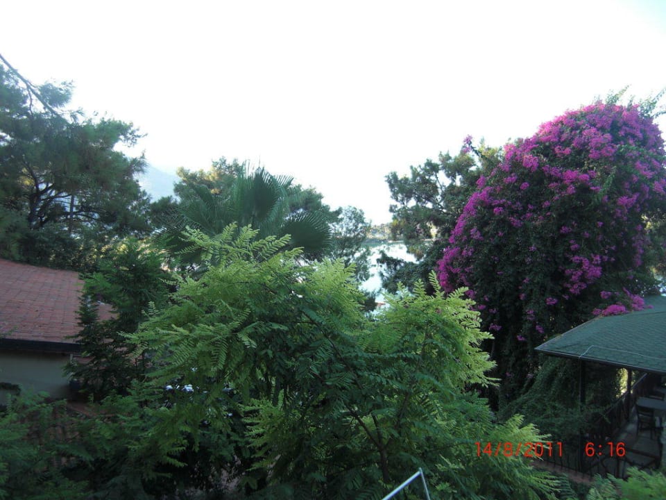 Blick vom Balkon Hotel Meri