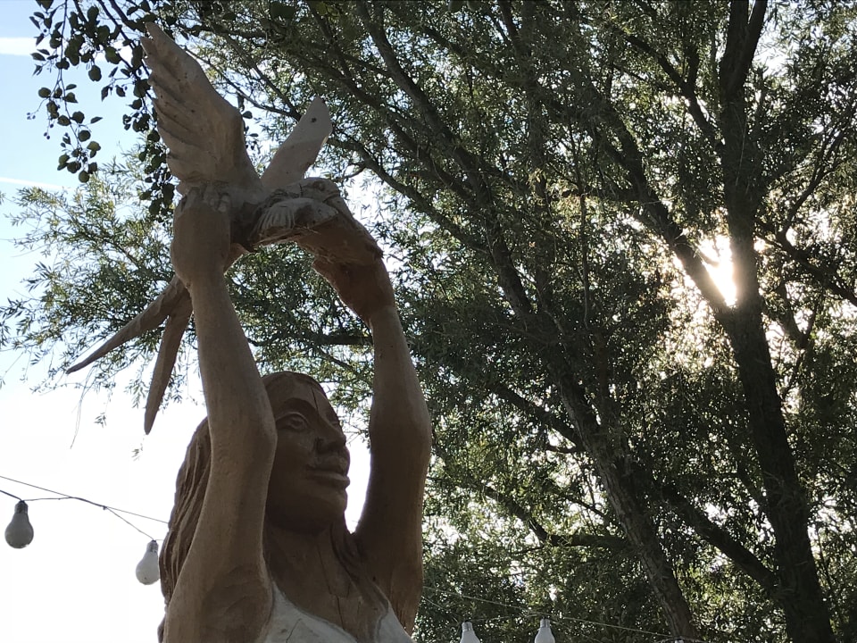 Gartenanlage Ferienresort Möwenort