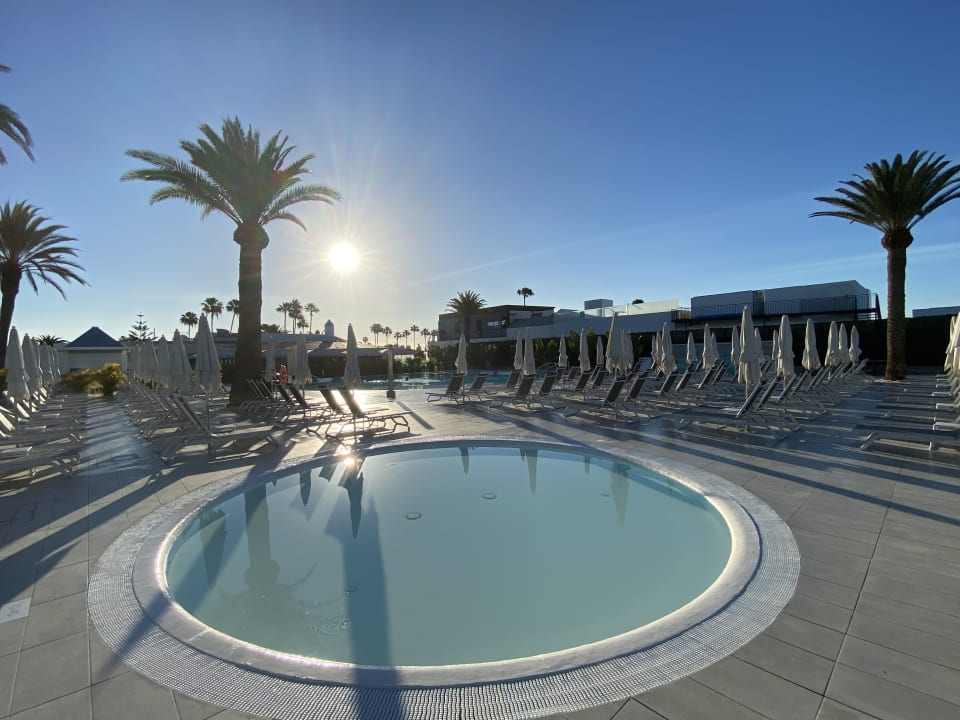 Pool Canary Garden Club