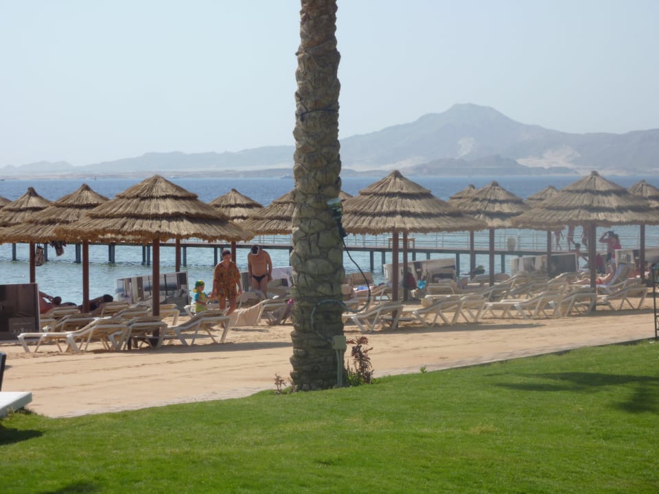 Blick zum Strand  Rixos Sharm El Sheikh Adults Only 18 +