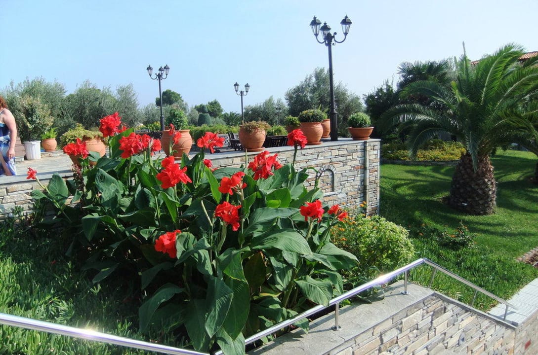 Garten Blue Dolphin Resort Hotel