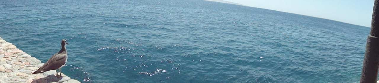 Grillrestaurant Arabella Azur Resort