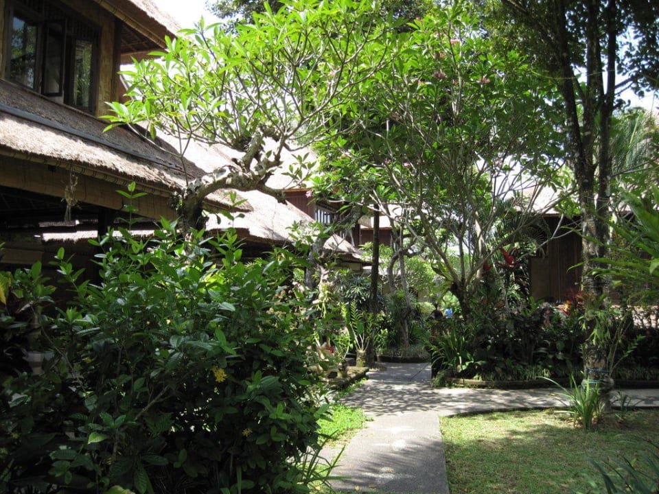Blick in den Garten der Anlage Hotel Alam Indah