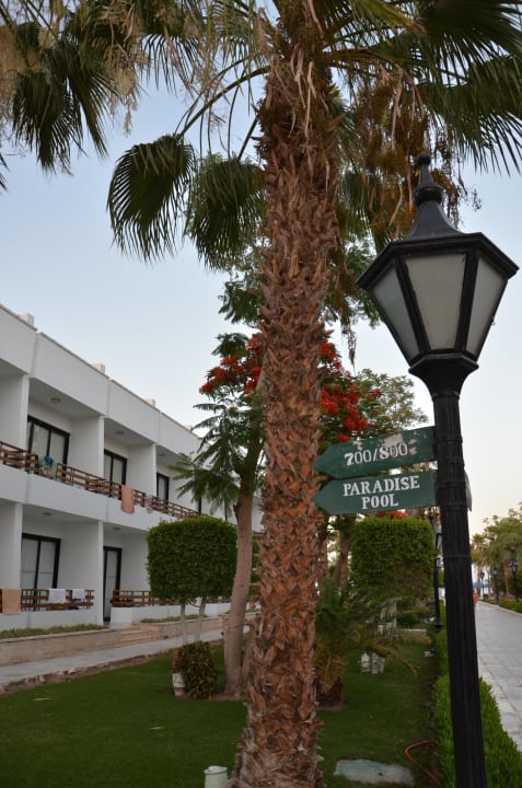 Abends im Grand Hotel The Grand Hotel Hurghada