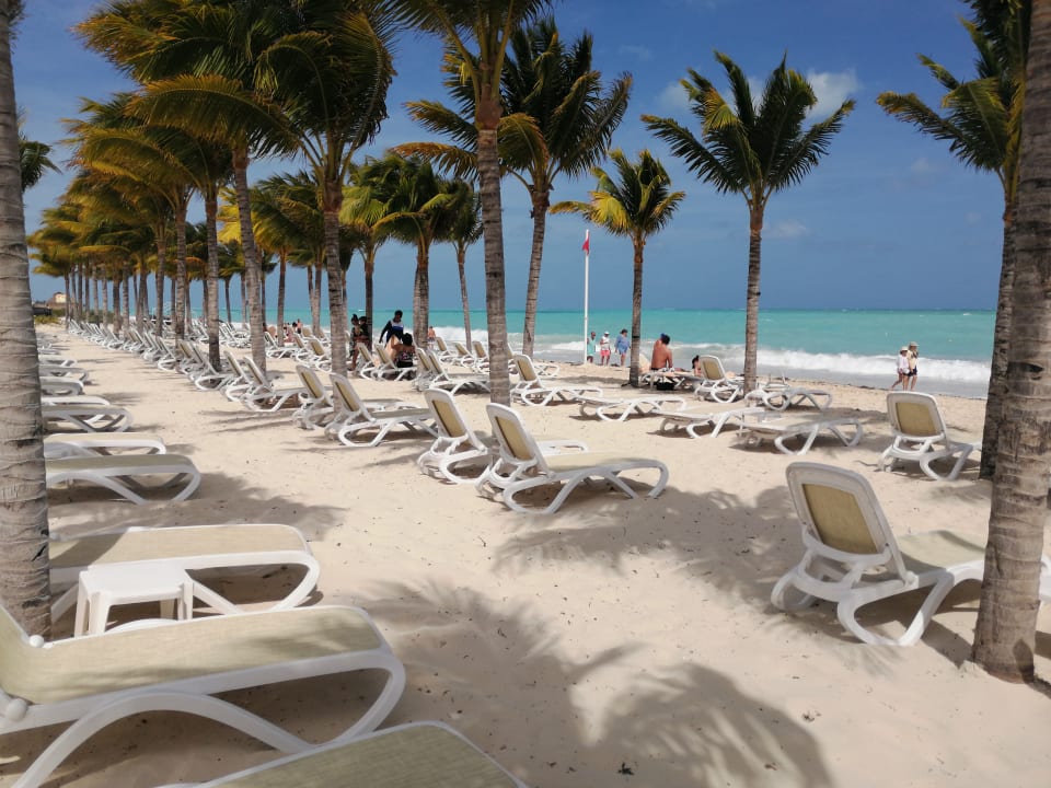 Strand Hotel Riu Dunamar