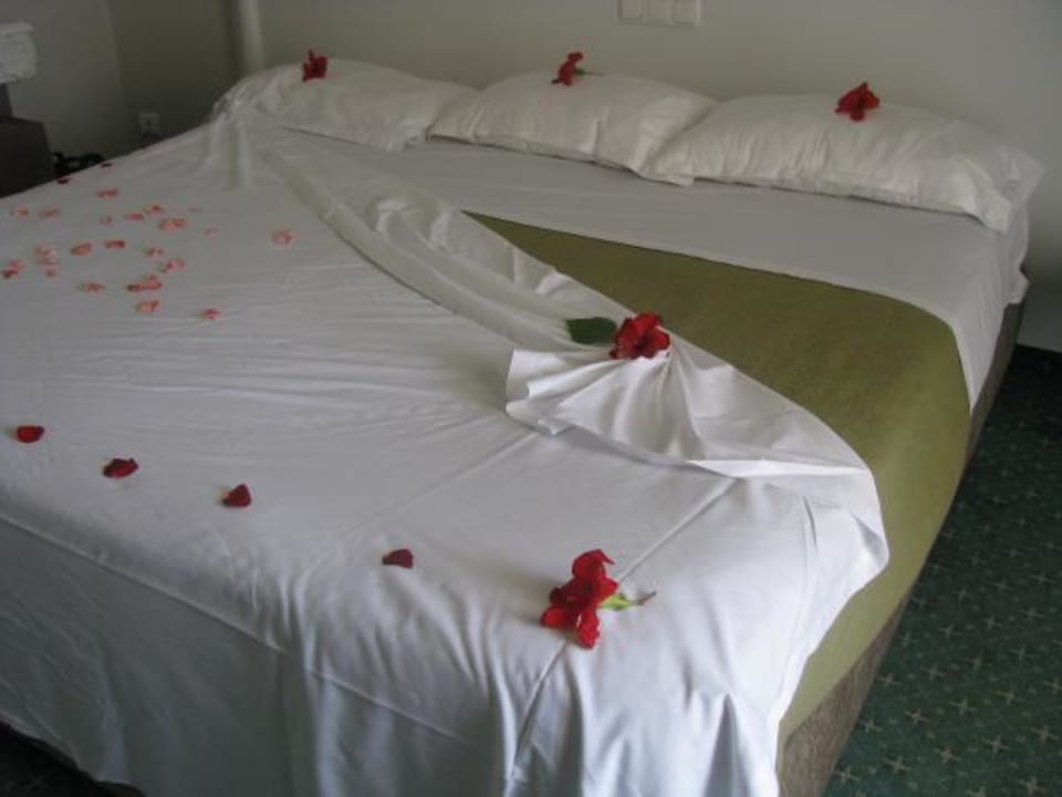 Auf Blumen gebettet Hotel El Mouradi Palm Marina