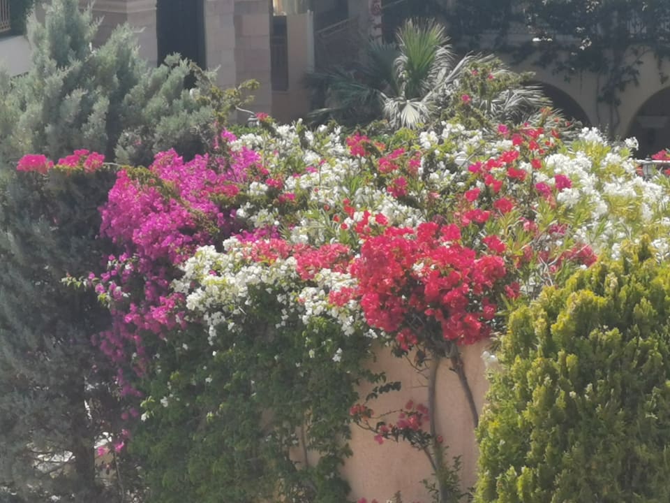 Außenansicht Lindos Imperial Resort & Spa