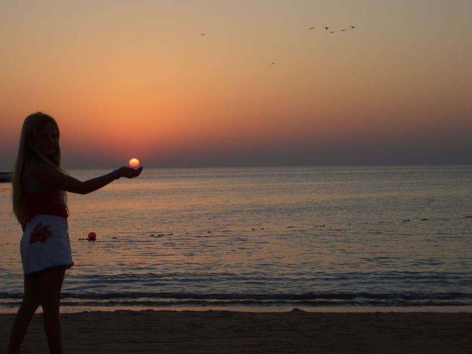 Sonnenaufgang Beach Albatros Resort