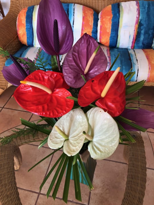 Lobby Villa Opuntia - Adults only