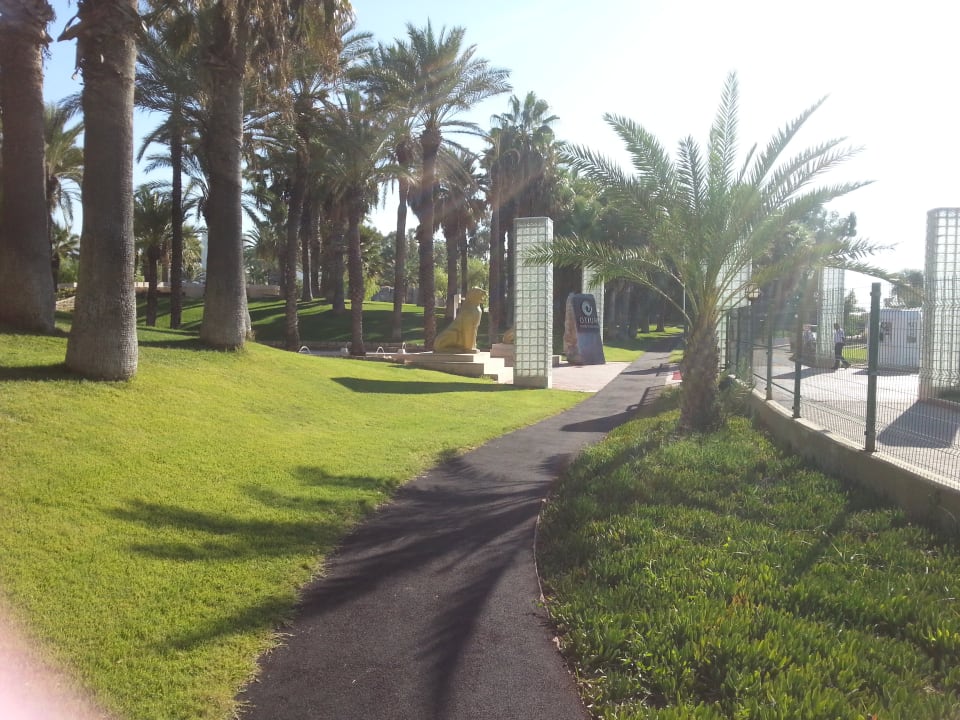 Gartenanlage Monachus Family Resort Sorgun