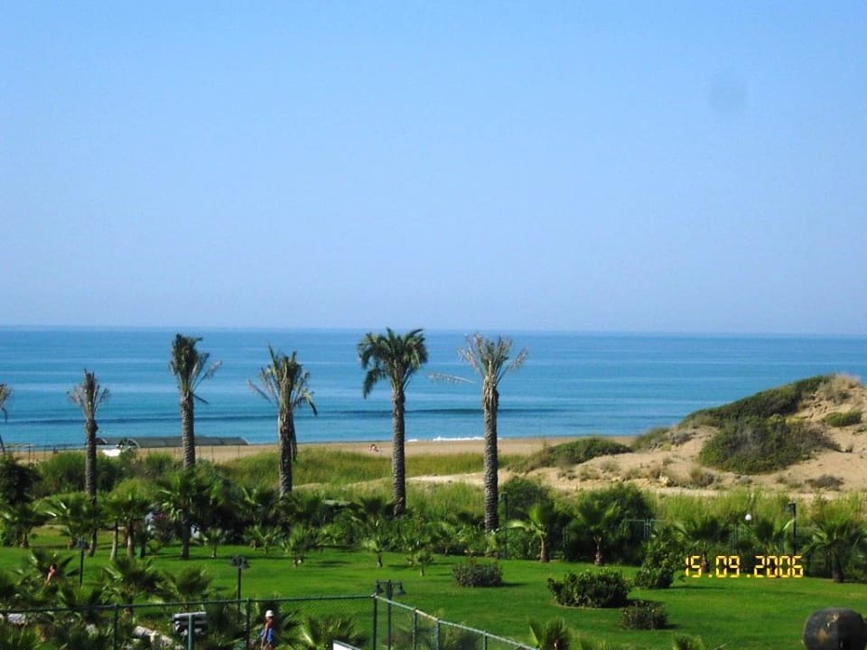 Blick auf den Strand Royal Atlantis Beach Hotel