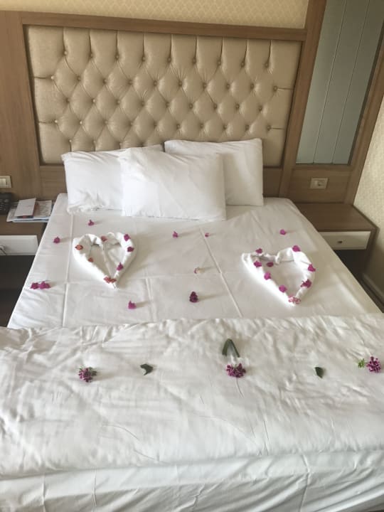 Zimmer Oz Hotels Sui Resort