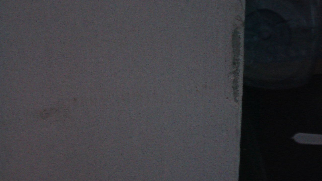 Ameisen unterwegs  Water Lily