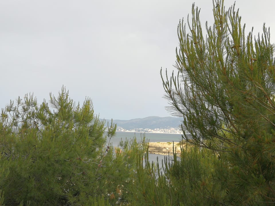 Ausblick BQ Apolo Hotel
