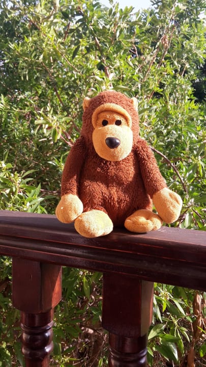 Balkon Hotel Riad Zahra