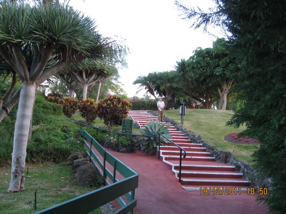 "Großzüge Gartenanlagen" Parque Vacacional Eden (Puerto de la Cruz