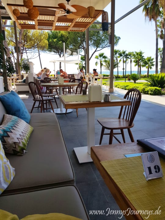 Gastro Acanthus Cennet Barut Collection