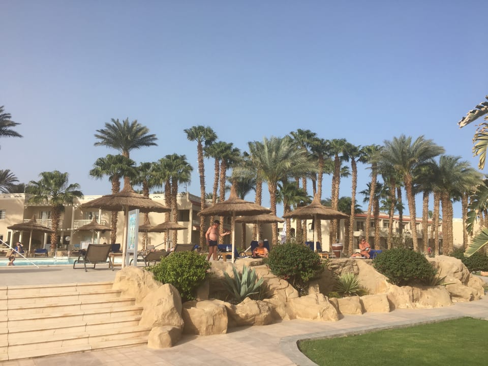 Pool Beach Albatros Resort