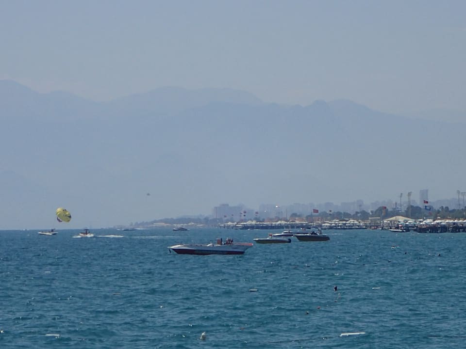 Strand Royal Seginus